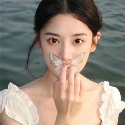重鸟